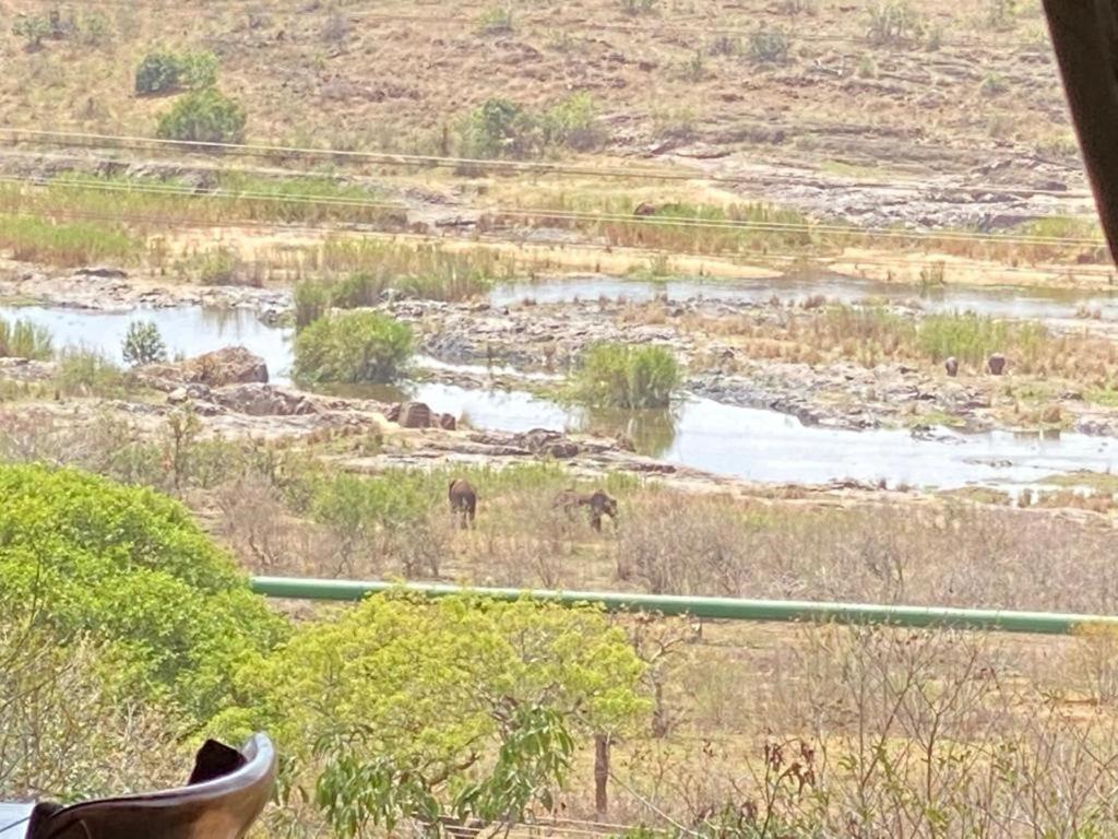 Croc River Lodge Komatipoort Extérieur photo