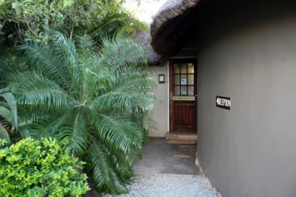 Croc River Lodge Komatipoort Extérieur photo